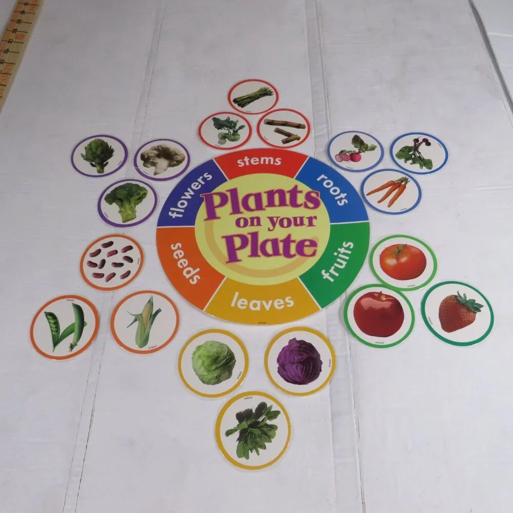 Plants on the Grow Extra Large BULLETIN BOARD SET LAMINATED  Classroom Posters
